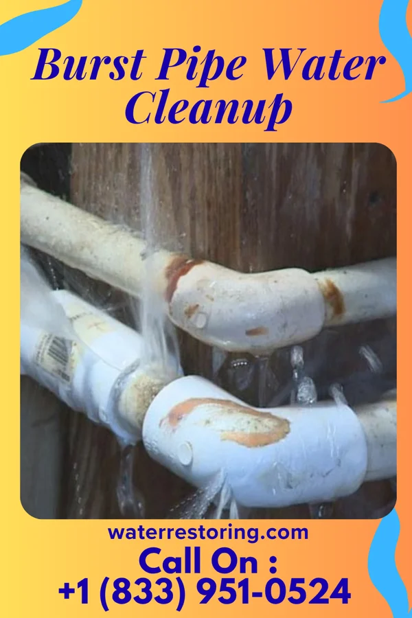 Burst Pipe Water Cleanup in Dayton, TN