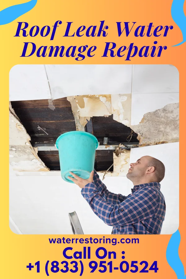 Roof Leak Water Damage Repair in Dayton, TN
